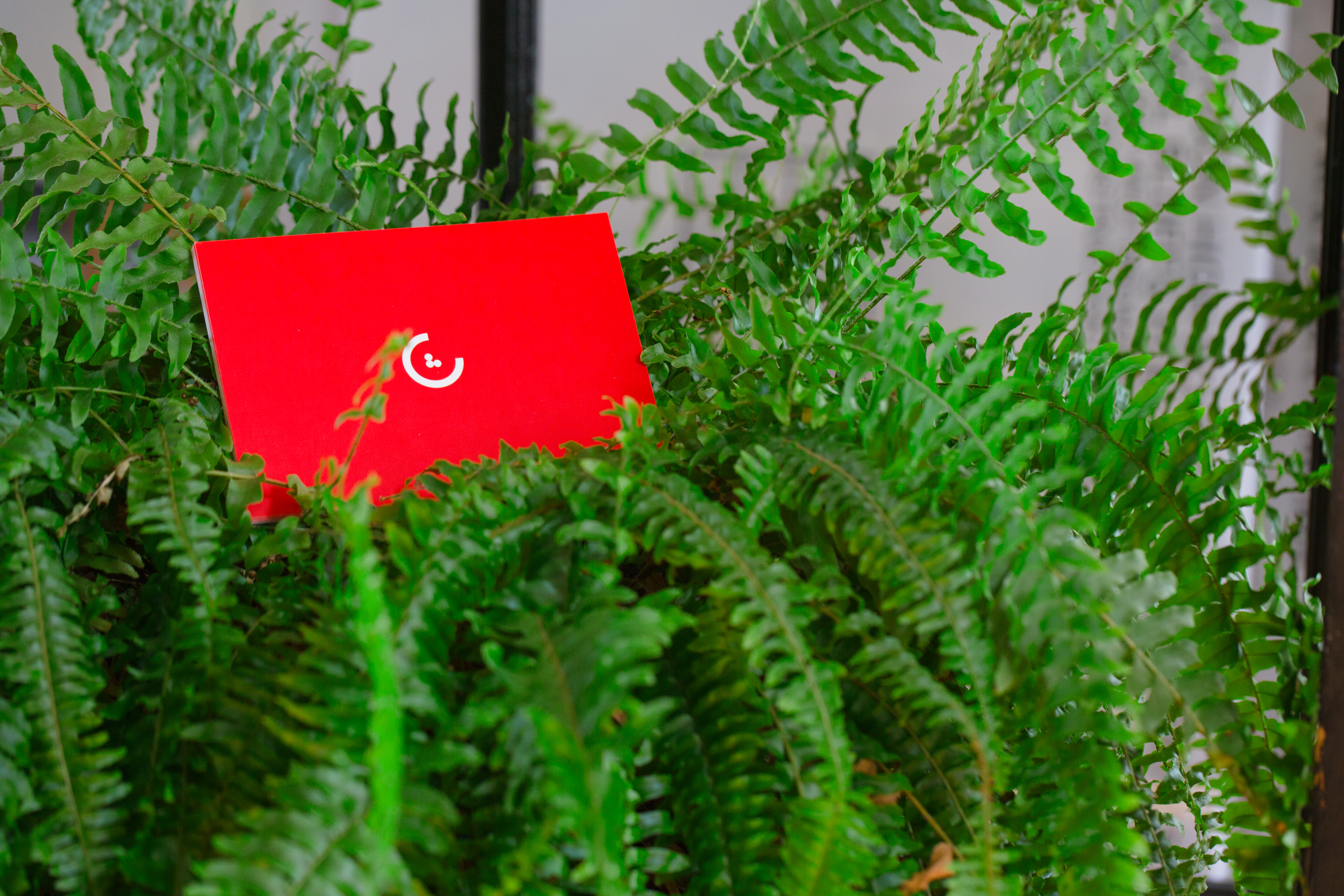 Red postcard displaying CLLA logomark nestled in a green, potted fern